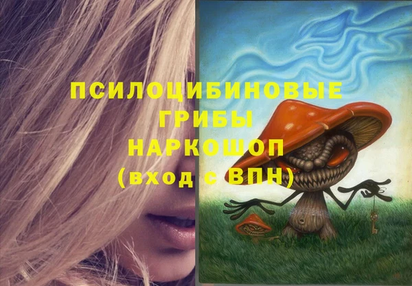 ECSTASY Алексеевка