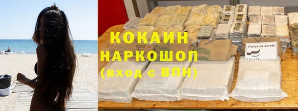 PSILOCYBIN Алзамай