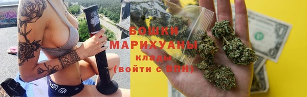 PSILOCYBIN Алзамай